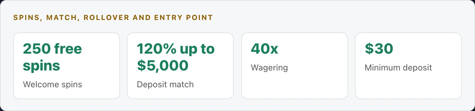 Key numbers in the WinSpin free spins welcome offer